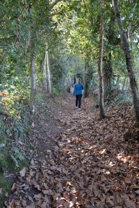 Le sentier de la Vilaine