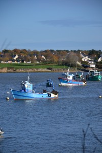 Bateaux de pêche à la civelle