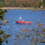 Petit bateau de pêche